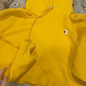 women’s cropped champion hoodie